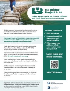 Educator Information Flyer The Bridge Project in PA