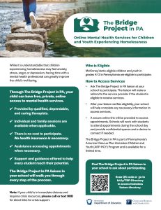 Family Info Flyer for The-Bridge Project in PA