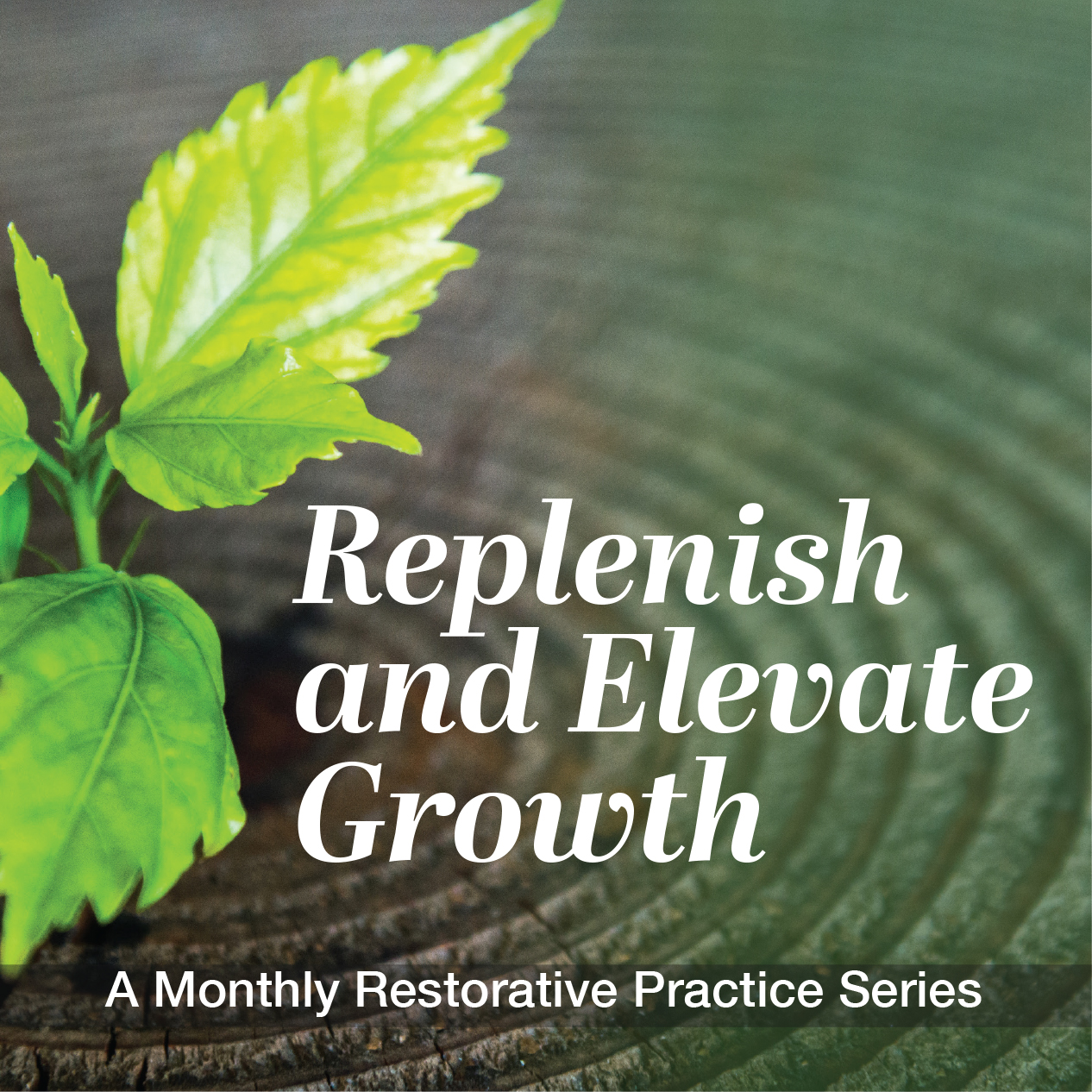 Replenish and Elevate Growth: A monthly restorative practice series