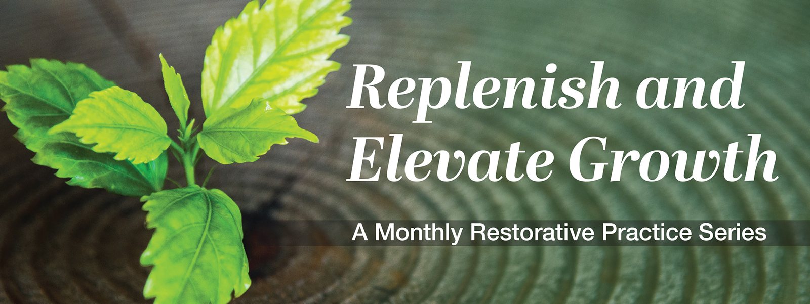 Replenish and Elevate Growth: A monthly restorative practice series